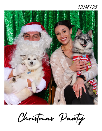 Christmas "pawty" at Ruffinery Dog Lovers Social Club event in San Diego