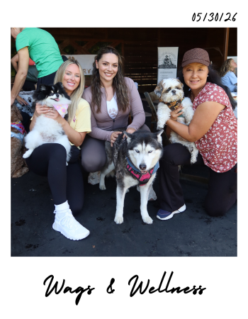Wags and wellness event at Ruffinery Dog Lover Social Club